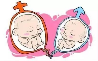 助孕儿子包成功